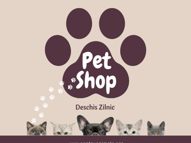 De Ce Sa Aleg Mancare Sanatoasa 100% Pentru Animale de Companie